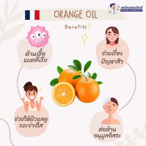 Alternative view of Orange Oil น้ำมันหอมระเหยส้ม
