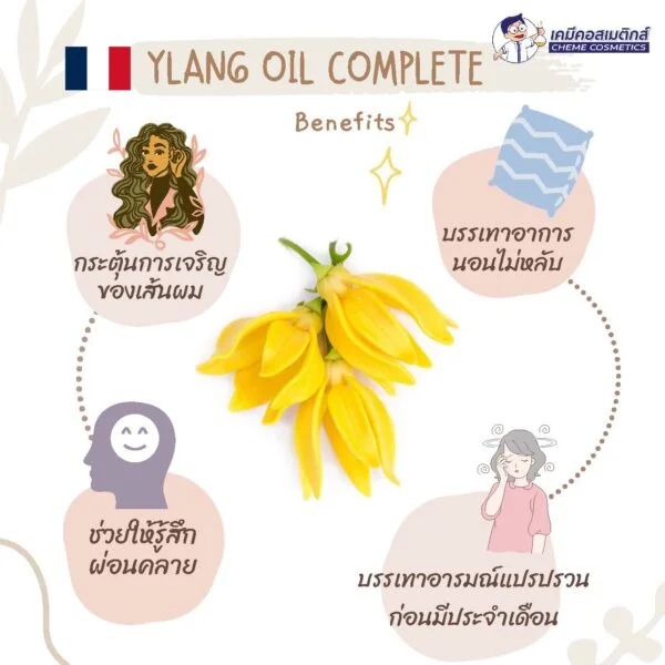 Ylang Oil Complete น้ำมันหอมระเหยกระดังงาแบบ Full Spectrum จากมาดากัสการ์ - Image 2