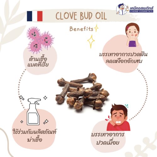 Clove Bud Oil น้ำมันหอมระเหยกานพลู - Image 2