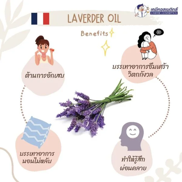 Lavender Oil น้ำมันหอมระเหย ลาเวนเดอร์ - Image 2