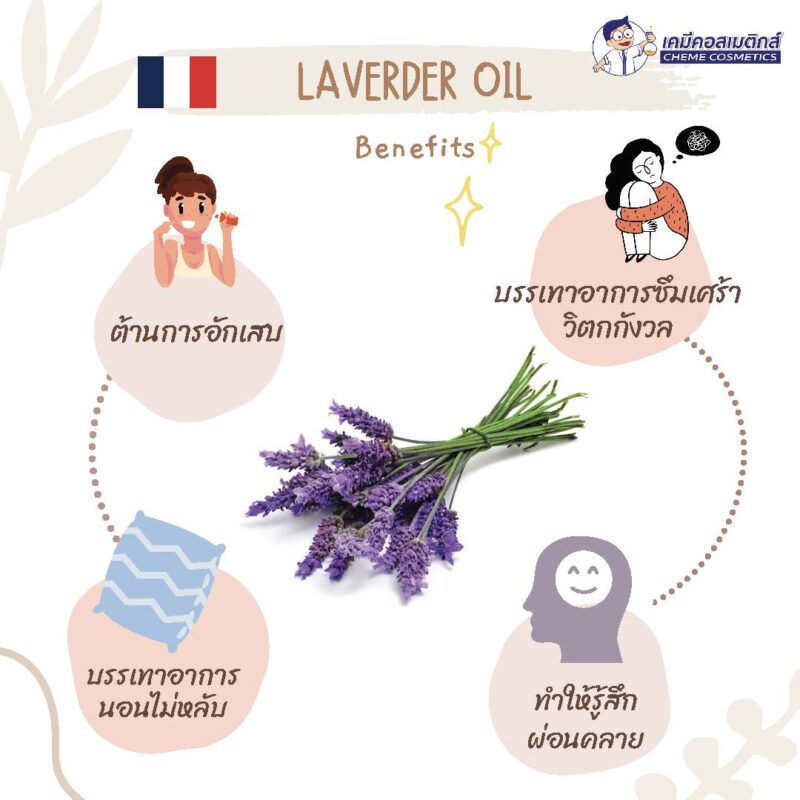 Lavender Oil น้ำมันหอมระเหย ลาเวนเดอร์ - Image 2