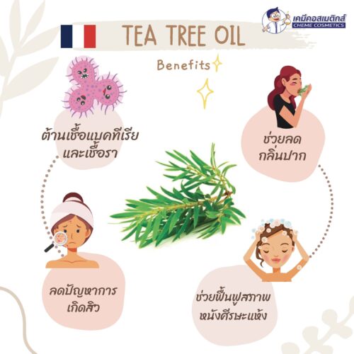 Alternative view of Tea Tree Oil (Australia) น้ำมันหอมระเหยทีทรีออยล์ธรรมชาติ บริสุทธิ์ เข้มข้น 100% จากออสเตรเลีย ใช้เป็นยาฆ่าเชื้อแบคทีเรียที่ก่อให้เกิดสิว กลิ่นเท้า เหา เชื้อราที่เล็บ บาดแผล และแมลงสัตว์กัดต่อย