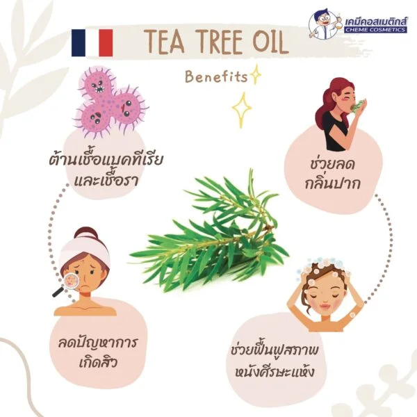Tea Tree Oil (Australia) น้ำมันหอมระเหยทีทรีออยล์ธรรมชาติ บริสุทธิ์ เข้มข้น 100% จากออสเตรเลีย ใช้เป็นยาฆ่าเชื้อแบคทีเรียที่ก่อให้เกิดสิว กลิ่นเท้า เหา เชื้อราที่เล็บ บาดแผล และแมลงสัตว์กัดต่อย - Image 2