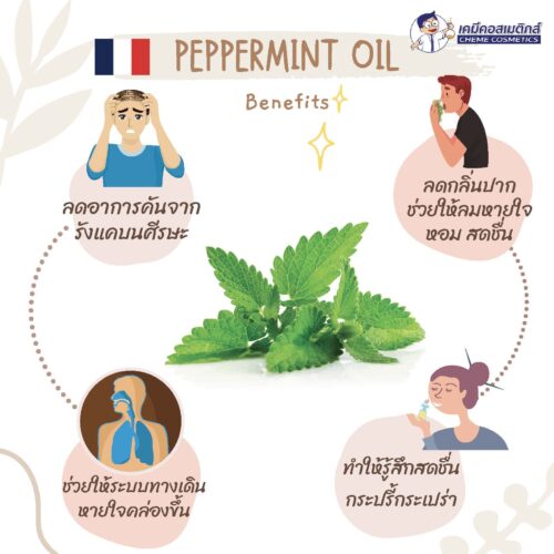 Alternative view of Peppermint Oil น้ำมันหอมระเหยเปปเปอร์มินท์ (สะระแหน่) เกรดพรีเมี่ยม อเมริกา ให้ความรู้สึกหอมสดชื่นและเย็นสบาย