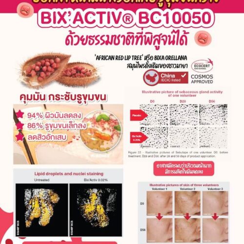 Bix'Activ (Bixa Orellana Seed Extract) สารสกัดธรรมชาติควบคุมความมัน ลดรูขุมขน และลดการเกิดสิว ผิวกระจ่างใสในหนึ่งเดียว - Image 3