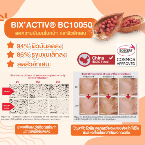 bix active
