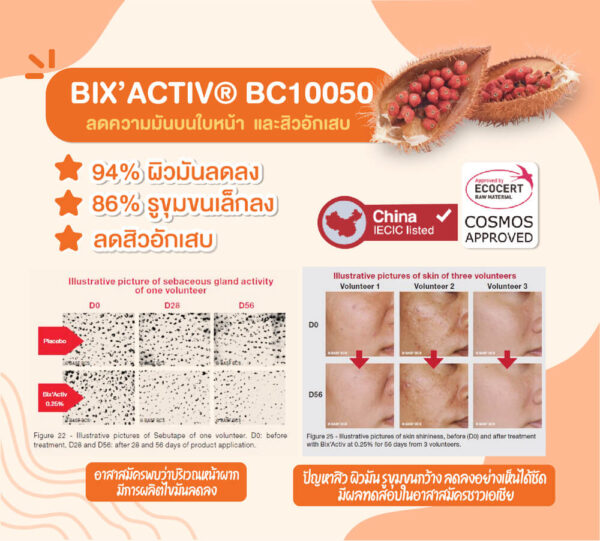 bix active