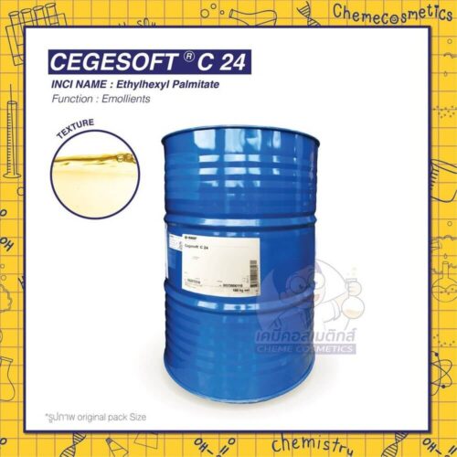 cegesoft-c24