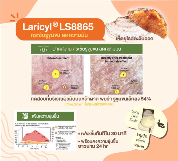 laricyl ls8865