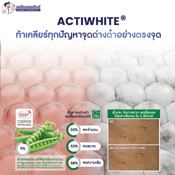 Alternative view of Actiwhite® PW LS 9860 สารสกัดจากถั่วลันเตา กระจ่างใส ลดจุดด่างดำ สำหรับผิวอ่อนแอแพ้ง่าย