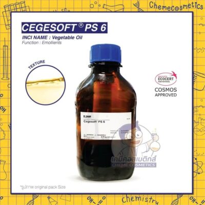 cegesoft-ps6