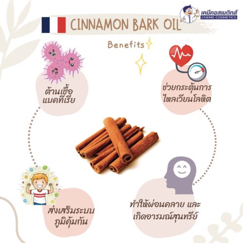 Alternative view of Cinnamon Bark Oil น้ำมันหอมระเหย เปลือกอบเชย