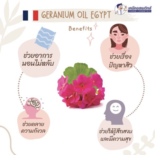 Alternative view of Geranium Oil Egypt น้ำมันหอมระเหยเจอราเนี่ยมอียิปต์ แท้ 100% ช่วยปรับสมดุลผิวโดยรวม ช่วยบรรเทาความตึงเครียดให้รู้สึกผ่อนคลาย