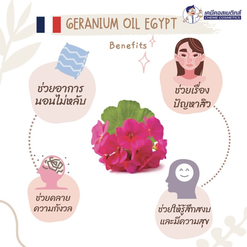Geranium Oil Egypt น้ำมันหอมระเหยเจอราเนี่ยมอียิปต์ แท้ 100% ช่วยปรับสมดุลผิวโดยรวม ช่วยบรรเทาความตึงเครียดให้รู้สึกผ่อนคลาย - Image 2