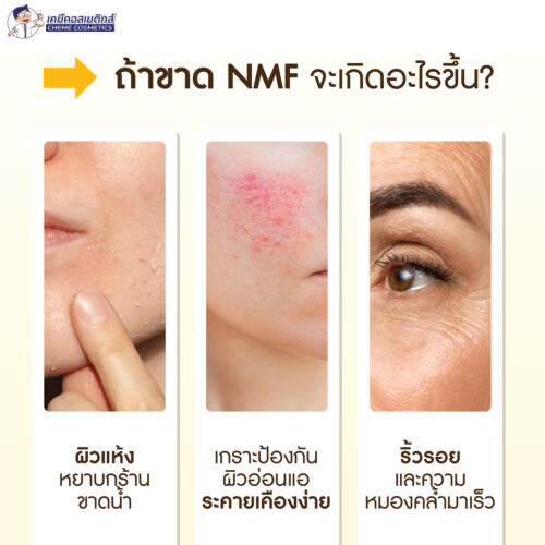 MC-BNC (H) สารสกัดโปรตีนหน้าเด็ก (Baby NMF Complex) อุดมด้วยกรดอะมิโนและแร่ธาตุ 39 ชนิดจากธรรมชาติ เพิ่มความชุ่มชื้น ลดเรือนริ้วรอย ช่วยให้ผิวดูอ่อนเยาว์และมีสุขภาพดีเหมือนผิวทารก - Image 3