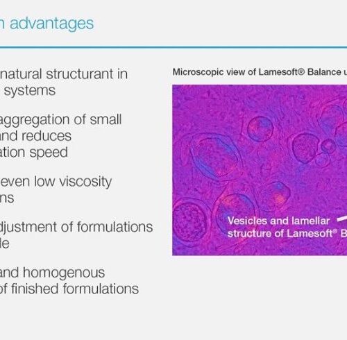 LAMESOFT BALANCE (3)