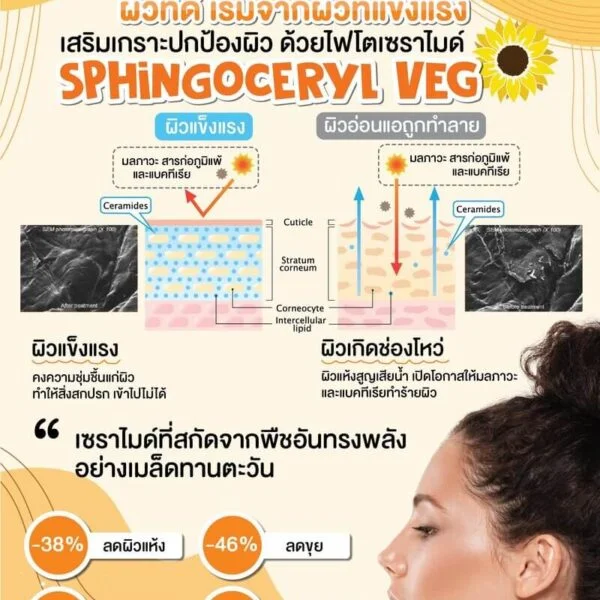 SPHINGOCERYL-VEG