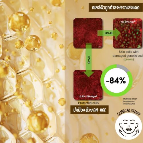 Alternative view of DN-Age LS 9547 สารสกัดใบเห็ดชุมเทศ ลดการเกิดผมหงอก/ต่อต้านริ้วรอยจากแสงแดด