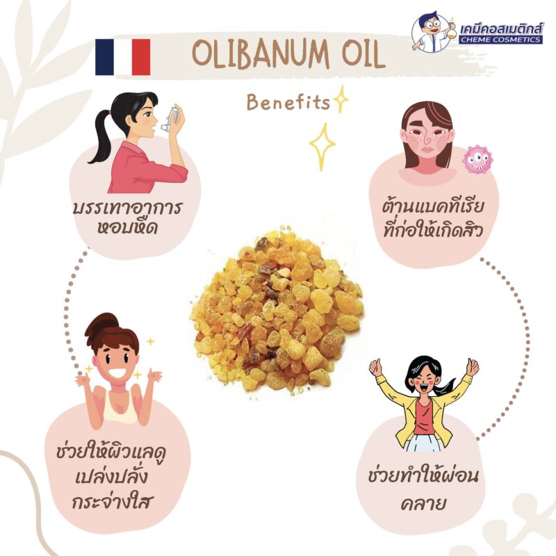Olibanum Oil (Frankincense Oil) น้ำมันหอมระเหยกำยานจากมาดากัสการ์ ช่วยปลอบประโลมและบำรุงผิว - Image 2
