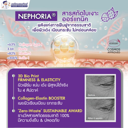 Alternative view of Nephoria สารสกัดจากใบเงาะ ทดแทนเรตินอลตามธรรมชาติ สังเคราะห์คอลลาเจนตามธรรมชาติ เพิ่มความยืดหยุ่นของผิวและลดเลือนริ้วรอย