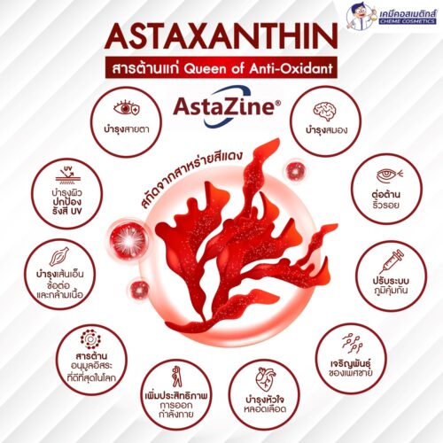 Alternative view of AstaZine® Astaxanthin Oil 5% แอสตาแซนธินน้ำมัน 5% จากสาหร่ายสีแดง ใช้ทำซอฟเจล สุดยอดสารต้านอนุมูลอิสระ ช่วยลดเลือนริ้วรอย บำรุงสุขภาพ ย้อนวัย เสริมสมรรถภาพ สมองและการมองเห็น