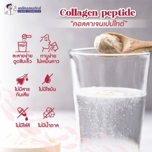Collagen Peptide 100% (Granule) คอลลาเจนเปปไทด์ เพื่อผิวสวยเรียบเนียนดูอ่อนเยาว์ ละลายน้ำง่ายพิเศษ ไม่มีสี ไม่มีกลิ่น ไม่มีรส โมเลกุลเล็กดูดซึมง่าย - Image 3