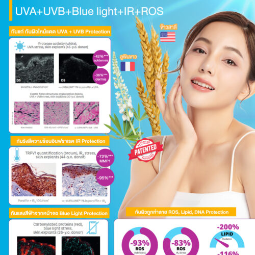 Alternative view of α-Lupaline สารออกฤทธิ์จากน้ำมันลูปินและจมูกข้าวสาลี ช่วยต่อต้านริ้วรอย ปกป้องผิวจากการเสื่อมสภาพจาก UV, IR และ Blue Light คงความกระชับและความยืดหยุ่นของผิว