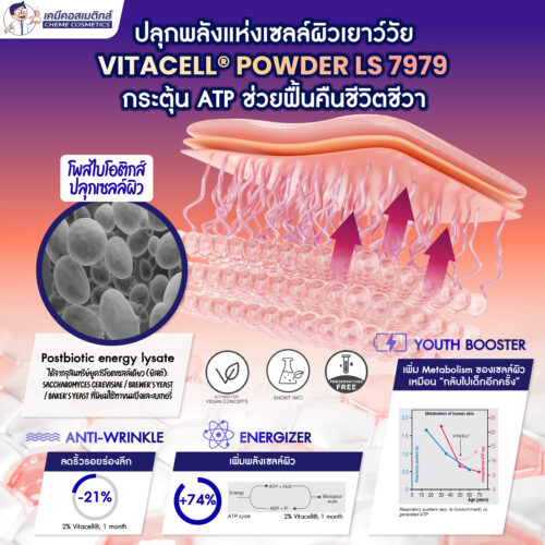 Alternative view of Vitacell Powder LS 7979 สารสกัดจากยีสต์ที่ช่วยฟื้นคืนชีวิตชีวาให้กับผิว สร้าง ATP ของผิวหนังชั้นนอกขึ้นมาใหม่