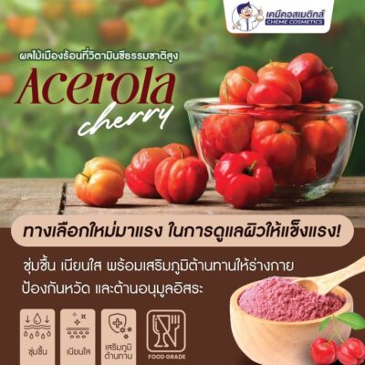 acerola cherry extract powder 2