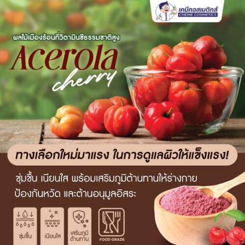 Alternative view of Acerola Cherry Extract (17% Vitamin C) สารสกัดเชอรี่อะเซโรล่าเข้มข้น เสริมภูมิคุ้มกันสูงสุด ต้านอนุมูลอิสระระดับพรีเมียม