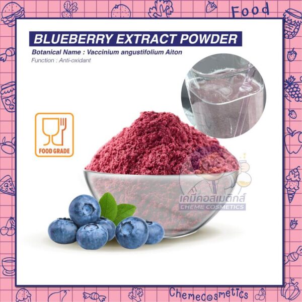 blueberry extract powder