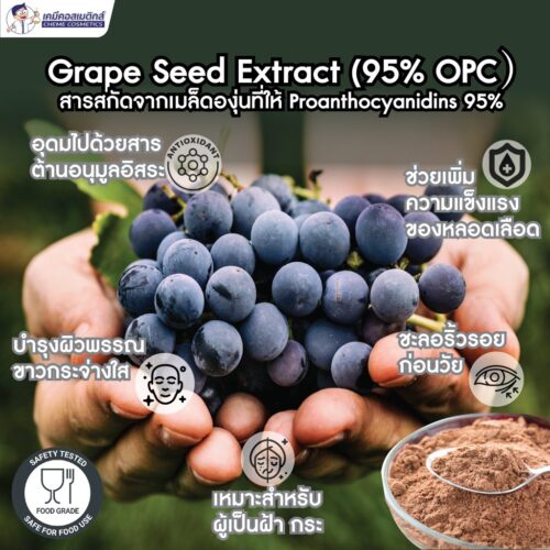 Alternative view of Grape Seed Extract (95% OPC) สารสกัดเมล็ดองุ่น อุดมไปด้วยสารต้านอนุมูลอิสระ ช่วยเพิ่มความแข็งแรงของหลอดเลือด บำรุงผิวพรรณขาวกระจ่างใส และชะลอริ้วรอยก่อนวัย