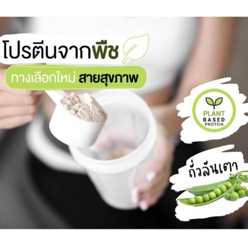 Alternative view of Pea Protein HYPP-B 80% ผงโปรตีนถั่วลันเตา Plant-Based Protein 80% อุดมด้วยกรดอะมิโนจำเป็น ช่วยเสริมสร้างและรักษามวลกล้ามเนื้อ ช่วยให้อิ่มนาน เหมาะสำหรับการควบคุมน้ำหนัก