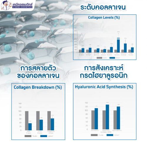 Astrion นวัตกรรมการดูแลผิวระดับเซลล์ด้วยสารสกัดจากอึ้งคี้และใบบัวบก กระตุ้นการสร้างคอลลาเจนและไฮยาลูรอนิกในผิวชั้นลึก เพื่อฟื้นฟูผิวและต่อต้านริ้วรอย - Image 5