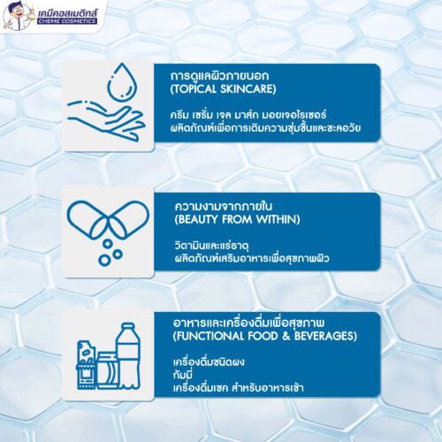 Astrion นวัตกรรมการดูแลผิวระดับเซลล์ด้วยสารสกัดจากอึ้งคี้และใบบัวบก กระตุ้นการสร้างคอลลาเจนและไฮยาลูรอนิกในผิวชั้นลึก เพื่อฟื้นฟูผิวและต่อต้านริ้วรอย - Image 6