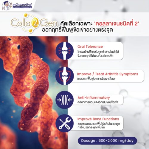 Alternative view of COLLA2GEN (Undenatured Collagen Type II) คอลลาเจน ชนิดที่ 2 เน้น บำรุงข้อต่อ ชะลอ และฟื้นฟู กระดูกอ่อน เอ็น ข้อบรรเทาและลดอาการอักเสบข้อเข่าเสื่อม สร้างและซ่อมแซมกระดูกช่วยให้มวลกระดูกเพิ่มขึ้น