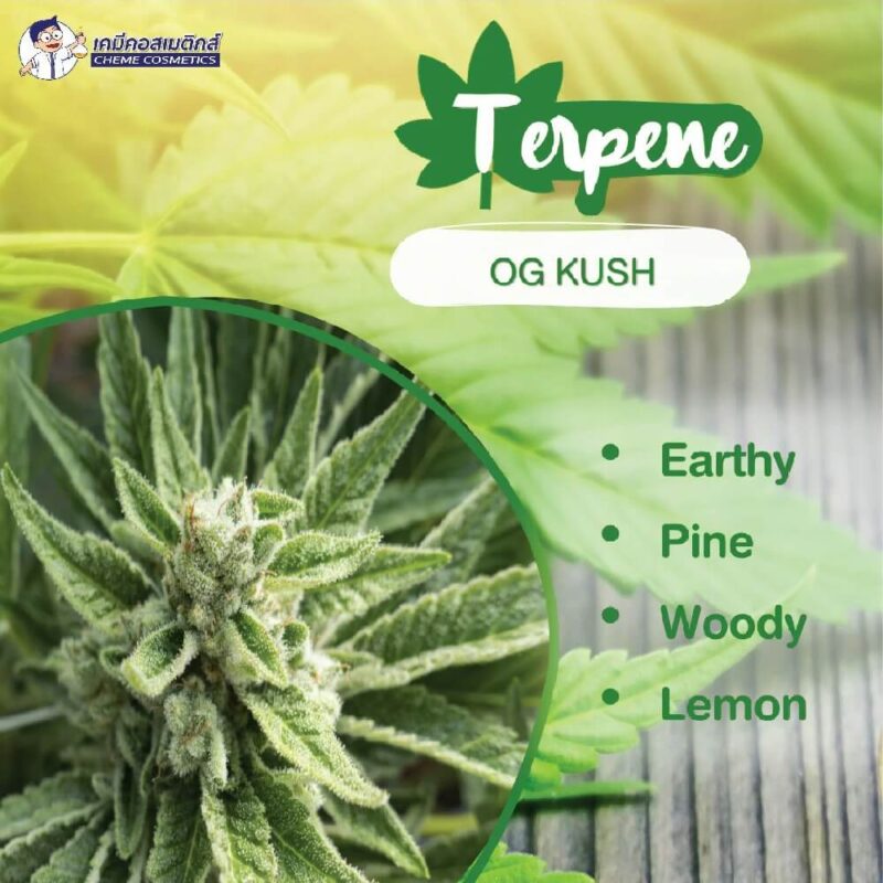 terpene og kush