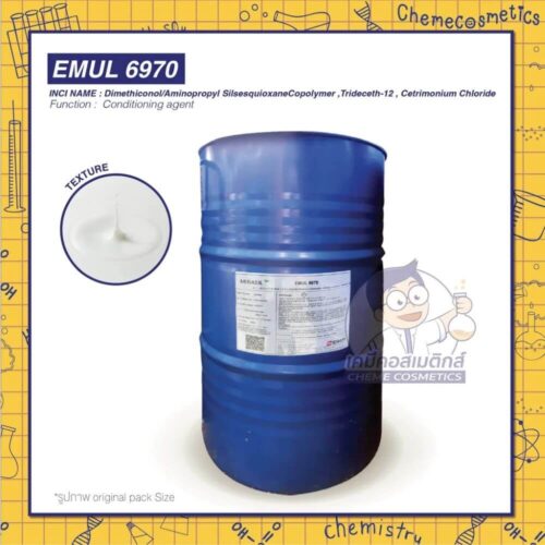 emul-6970
