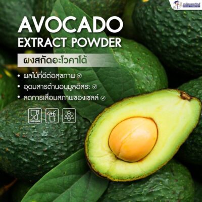 avocado extract powder 2
