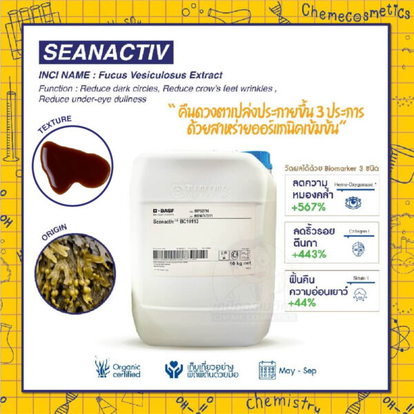 Seanactiv สารสกัดฟูคอยแดนจากสาหร่ายออร์แกนิค ช่วยลดสัญญาณของริ้วรอยรอบดวงตา ลดรอยคล้ำและรอยตีนกา เพิ่มความส่องสว่าง