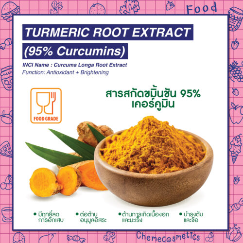 Turmeric Root Extract (95% Curcumins) สารสกัดขมิ้นชัน มีฤทธิ์ลดการอักเสบ ต่อต้านอนุมูลอิสระ ต้านการเกิดเนื้องอกและมะเร็ง