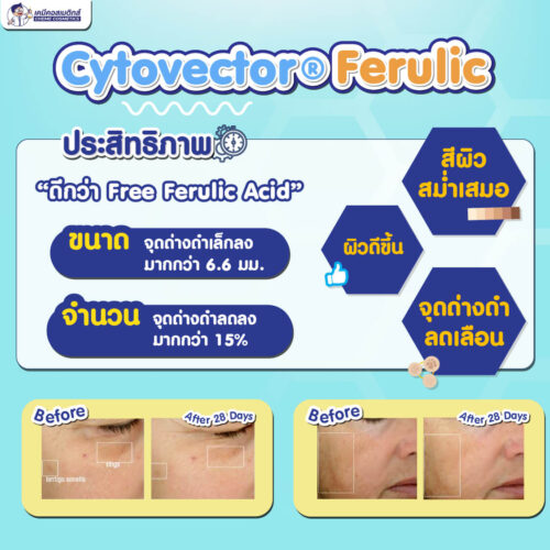 Alternative view of Cytovector Ferulic ทำหน้าที่เป็นสารที่มีคุณสมบัติช่วยเรื่อง Anti-Aging Agent ซึ่งเป็นไลโปโซมจากพืช