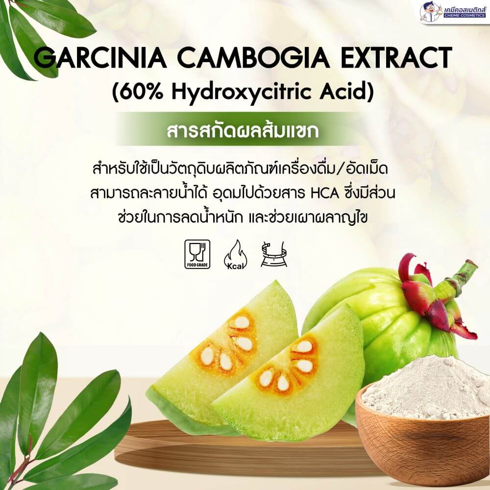 garcinia cambogia extract 2