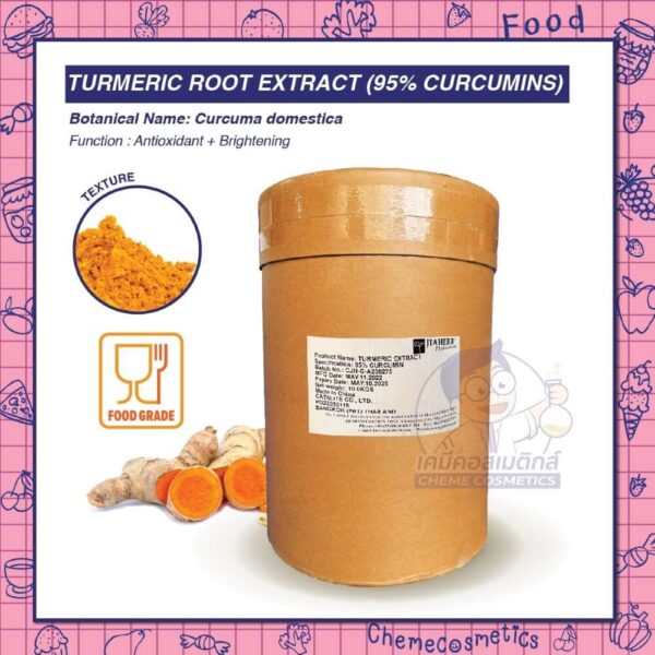 turmeric-root-extract-95