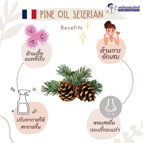 Pine Oil 65% น้ำมันสน เหมาะสำหรับบน้ำย่าฆ่าเชื้อโรค - Image 2