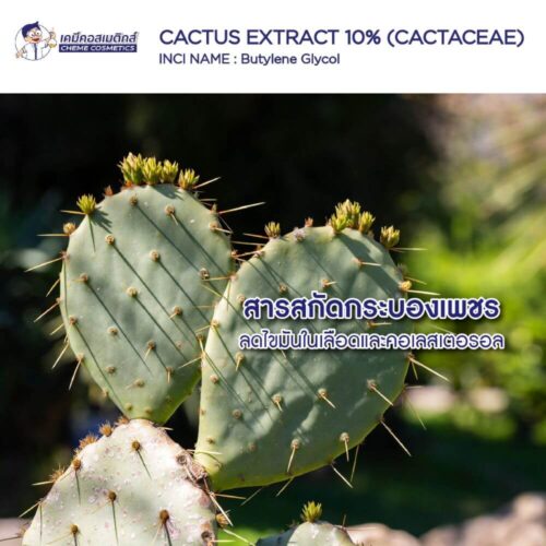 cactus extract