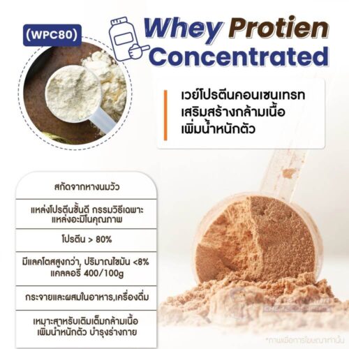Alternative view of Whey Protein Concentrated (WPC80) เวย์โปรตีนคอนเซนเทรท เสริมสร้างกล้ามเนื้อ เพิ่มน้ำหนักตัว