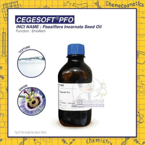 cegesoft-pfo
