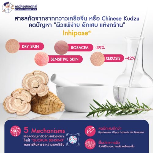 Inhipase สารสกัดกวาวเครือจีน หรือถั่วคุดชู (Kudzu) ช่วยลดการอักเสบ ผื่นแดง รอยด่างดำ ความแห้งกร้าน เพิ่มความสบายให้ผิว - Image 2