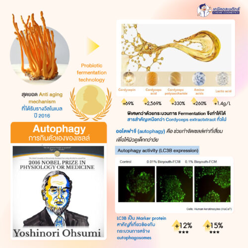 Bioyouth FCM (Cordyceps Militaris Ferment Filtrate) สารสกัดหมักเห็ดถั่งเช่าสีทอง ช่วยต่อต้านริ้วรอยและความชรา เพิ่มการสังเคราะห์คอลลาเจน ความยืดหยุ่นของผิว และกระจ่างใส - Image 3